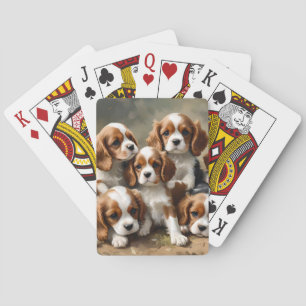 De spanska valparna Cavalier är bara sympatiska. Casinokort