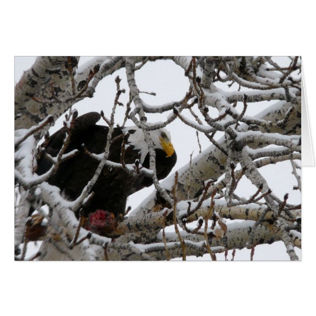 De starka överlever hälsningskort (Framsidan Horizontal)