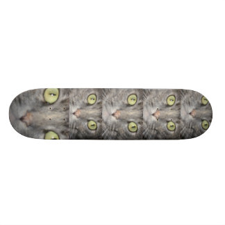 DE STORA STIGER OMBORD SKATEBOARD BRÄDA 21,5 CM