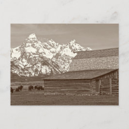 De stora tonerna från Mormon Row Vykort