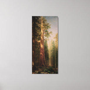 De stora träden, Mariposa Grove, CA av Bierstadt Canvastryck