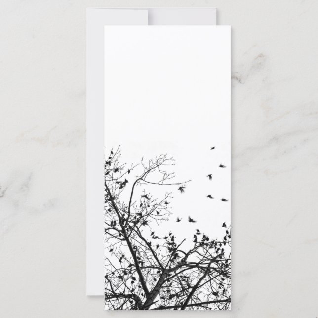 De svarta fåglarna (Framsida)