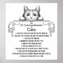 De tio budorden från Cats Funny Poster