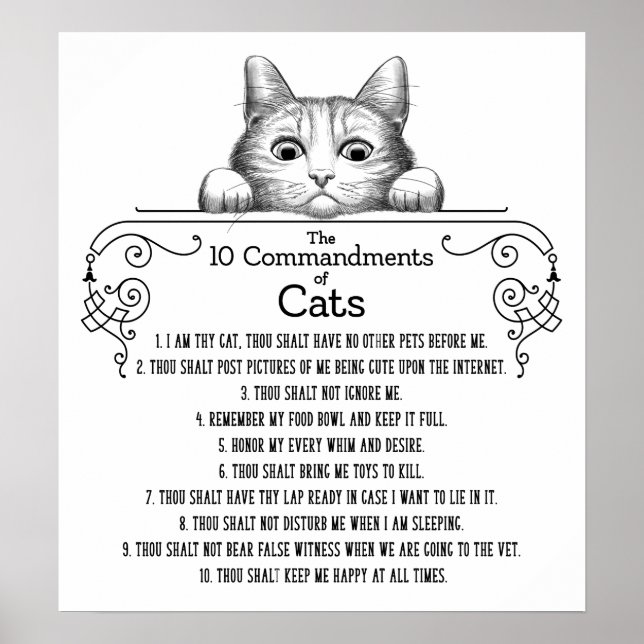De tio budorden från Cats Funny Poster (Framsidan)