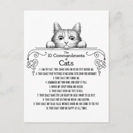 De tio budorden från Cats Funny Vykort
