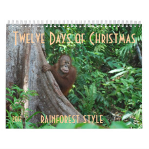 De tolv dagarna av jul vid orangutans kalender