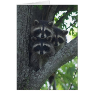 De tre amigos hälsningskort