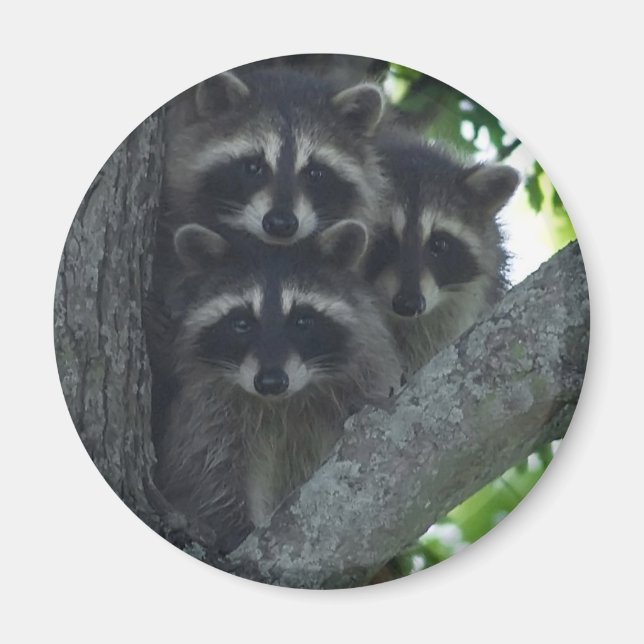 De tre amigos magnet (Framsidan)