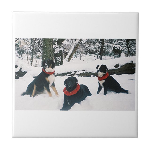 De tre musketörerna! kakelplatta (Framsidan)