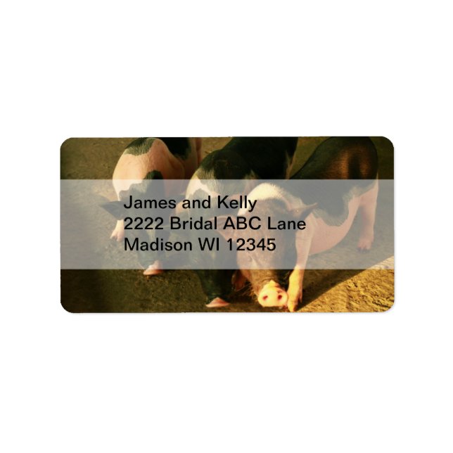 De tre små svinen adressetikett (Framsidan)