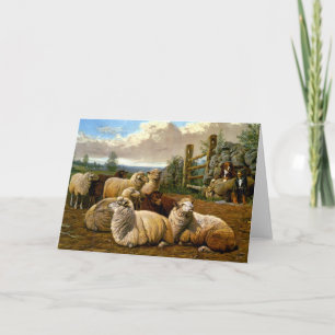 De trogna shepherdsen kort