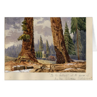 De två vaktposterna, på dungen av stora träd hälsningskort