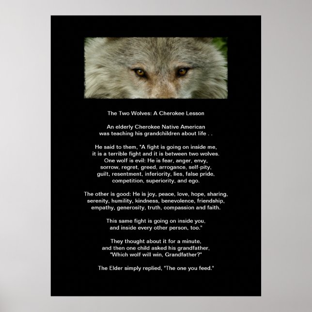 DE TVÅ VARGARNA CHEROKEE LESSON Art Poster (Framsidan)