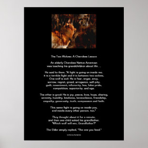 DE TVÅ VARGARNA CHEROKEE TALE Native American Prin Poster