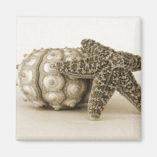 De udda kopplar ihop magnet