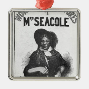 De underbara äventyren av Fru Seacole Julgransprydnad Metall