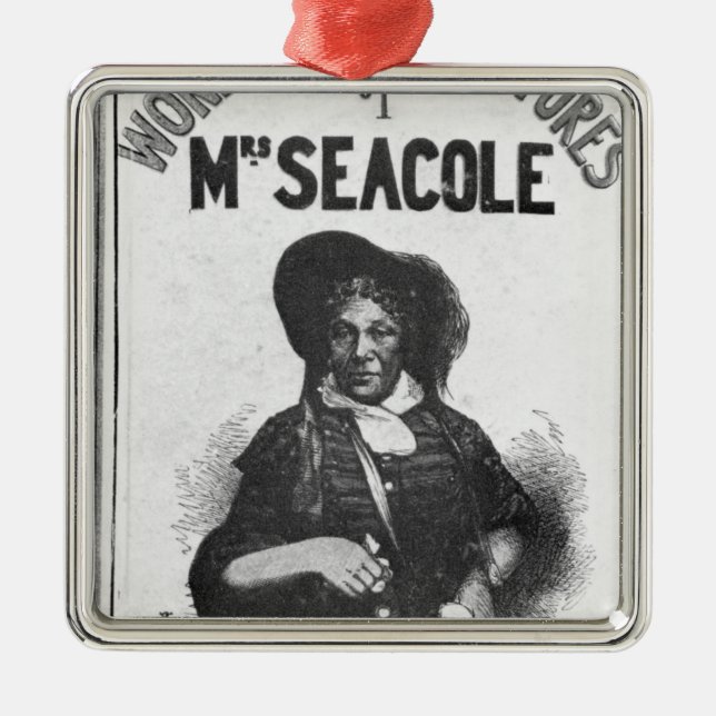 De underbara äventyren av Fru Seacole Julgransprydnad Metall (Framsidan)