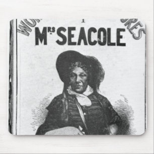 De underbara äventyren av Fru Seacole Musmatta