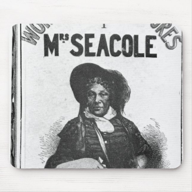 De underbara äventyren av Fru Seacole Musmatta (Framsidan)