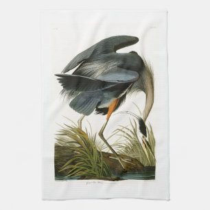 De underbara blåttHeronJohn Audubon fåglarna av Kökshandduk