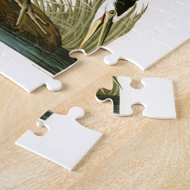 De underbara blåttHeronJohn Audubon fåglarna av Pussel (Sidan)