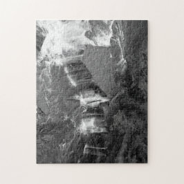 De Underbara boxarna Bäck - fåglarnas öga Pussel