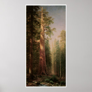 De underbara träden poster