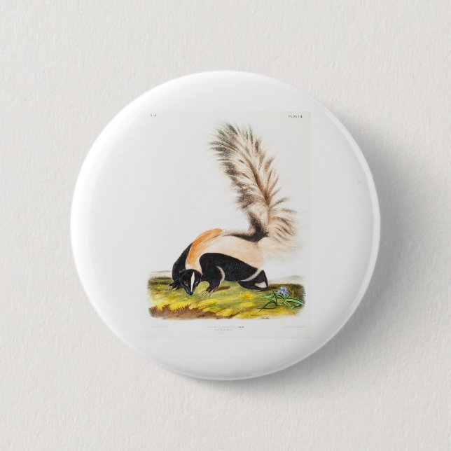 de vivipara fyrfotadjur av John James Audubon Knapp (Framsida)