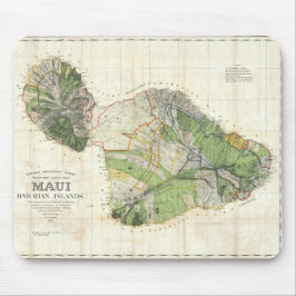 De Witt Alexander karta 1885 av Maui, Hawaii Musmatta