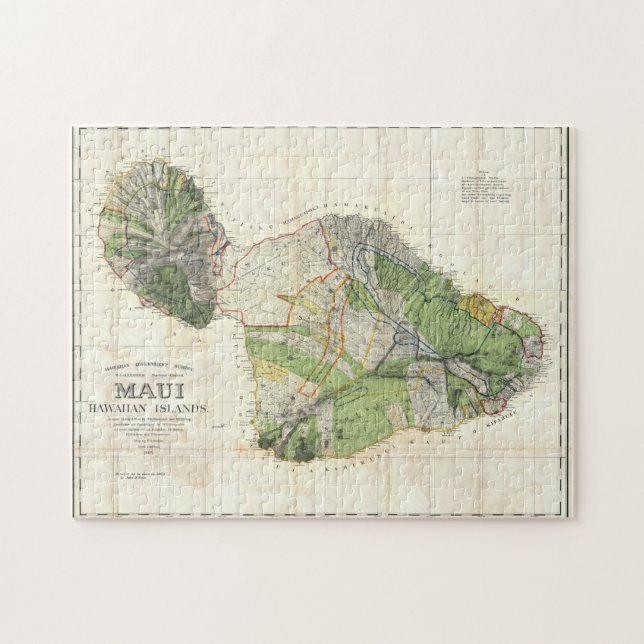 De Witt Alexander karta 1885 av Maui, Hawaii Pussel (Horisontell)