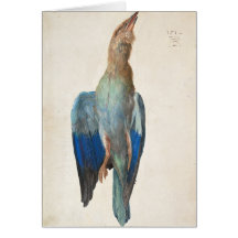Dead Blue Roller av Albrecht Durer