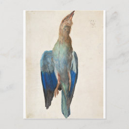 Dead Blue Roller av Albrecht Durer Vykort