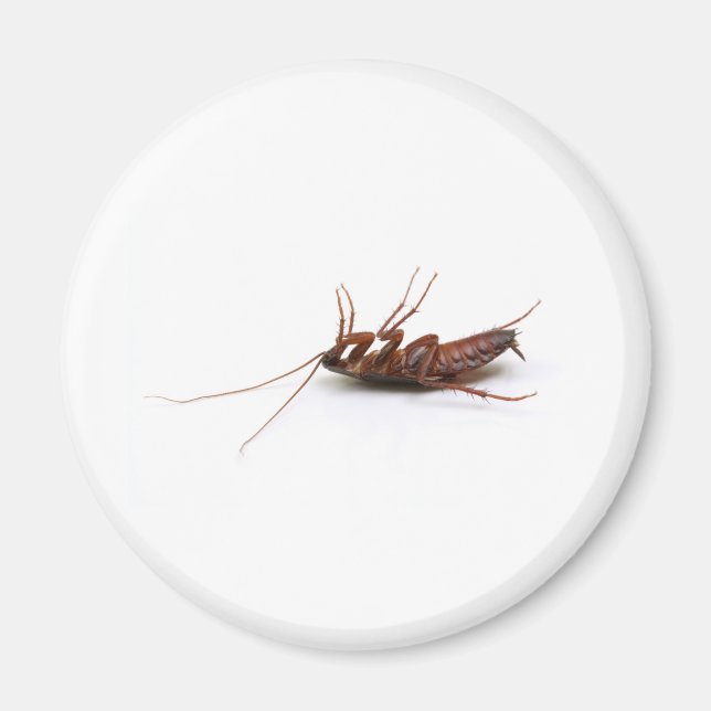 Dead cockroach magnet (Framsidan)