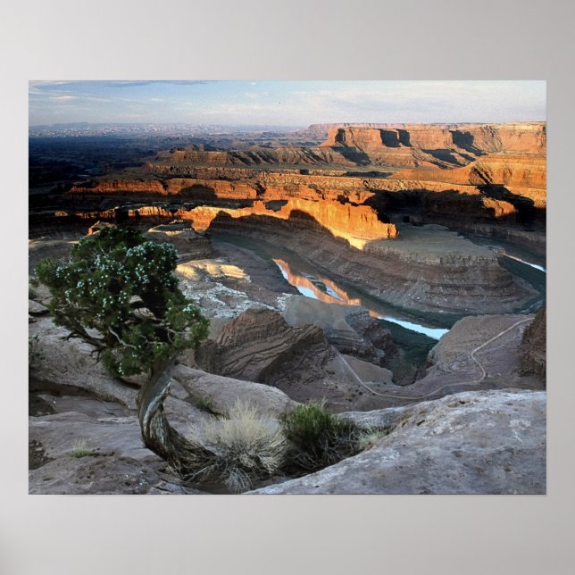 Dead Horse Point Poster (Framsidan)