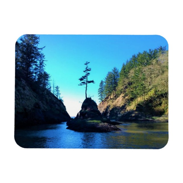 Dead Man's Cove, Cape Dissit, Washington Magnet (Horisontell)