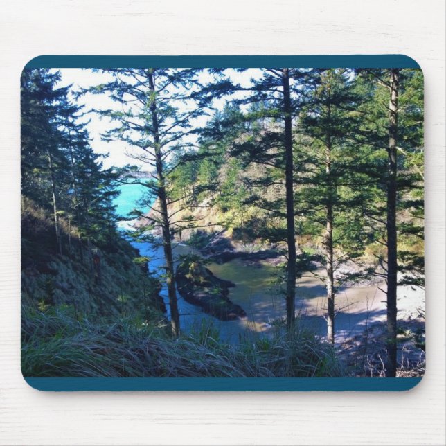 Dead Man's Cove, Cape Dissit, Washington Musmatta (Framsidan)