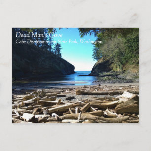 Dead Man's Cove, Cape Dissit, Washington Vykort