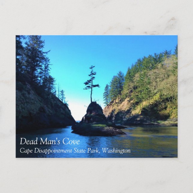 Dead Man's Cove, Cape Dissit, Washington Vykort (Framsida)