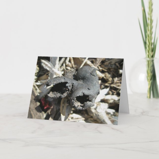 Dead Man's Finger Mushroom Note Card Helgkort (Framsida)