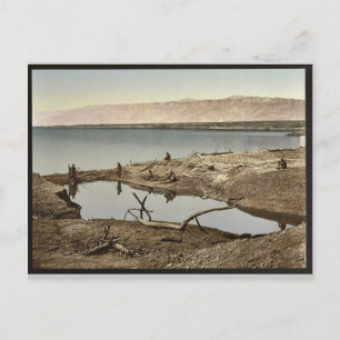 Dead Sea, II, Jericho, Heliga Land, (dvs. Väster) Vykort