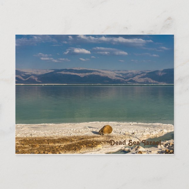 Dead Sea,Israel Helgdag Postcard Helg Vykort (Framsida)