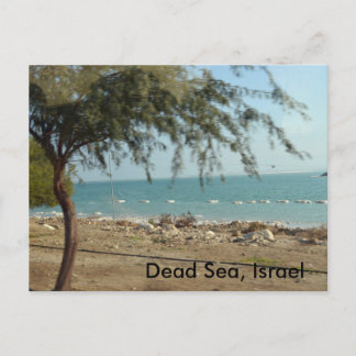 Dead Sea, Israel Vykort