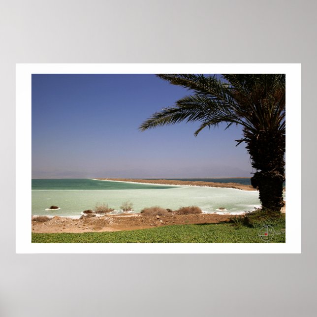 Dead Sea Poster (Framsidan)