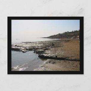 Dead Sea Vykort