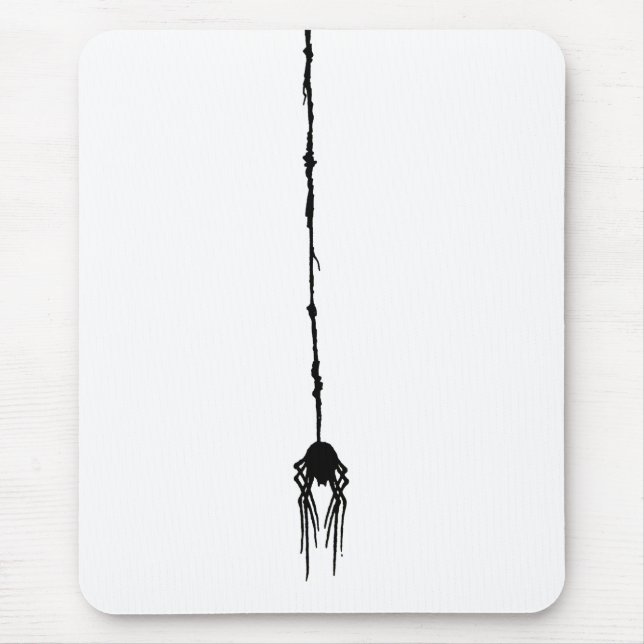 Dead Smooshed Spider Hanging by it's Webben Musmatta (Framsidan)