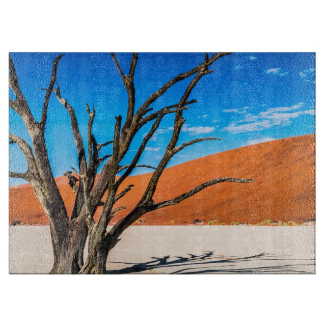 Dead träd i Deadvlei, Namibia (Framsidan)