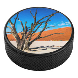 Dead träd i Deadvlei, Namibia