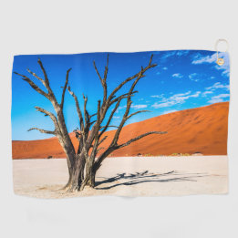 Dead träd i Deadvlei, Namibia