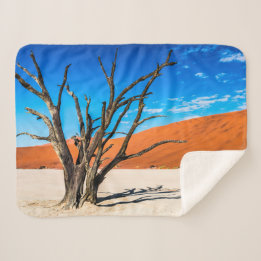Dead träd i Deadvlei, Namibia