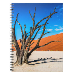 Dead träd i Deadvlei, Namibia Anteckningsbok